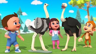 Fun DIY Wooden Puzzle 🧩 | Build Baby Ostrich Step-by-Step | Kids Toddler Learning Educational 4K