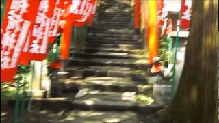 preview picture of video 'Sasuke-Inari Shrine, Kamakura （佐助稲荷神社）'