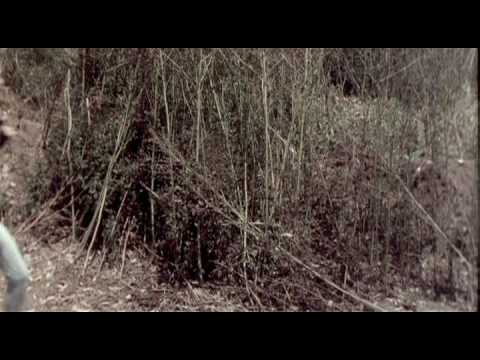 Mia Chevais - Come Go With Me (45s)