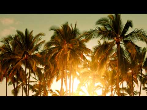 Baz Luhrmann - Wear Sunscreen (Mau Kilauea's Tropical Remix)