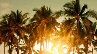 Baz Luhrmann - Wear Sunscreen (Mau Kilauea&#39;s Tropical Remix)