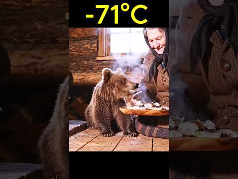 An Elderly Woman Rescues a Freezing Bear Cub in a Siberian Snowstorm ❄️🐻  #animalrescue  #siberia