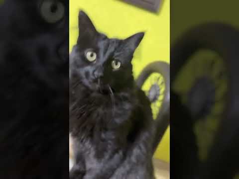 Mi querido villas santin