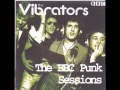 The Vibrators - I'm gonna be your nazi baby