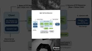 REST API Breakdown | See How Rest APIs & Data Actually Moves #coding #tutorial #api