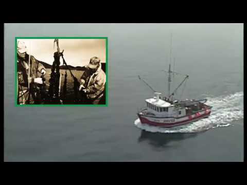 download lagu mp3 mp4 Shanneyganock Newfoundland, download lagu Shanneyganock Newfoundland gratis, unduh video klip Shanneyganock Newfoundland