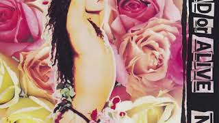 Dead Or Alive Baby Don&#39;t Say Goodbye [Radio Edit]