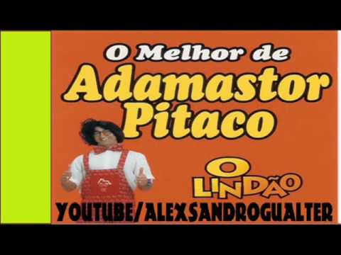 piada da bixa