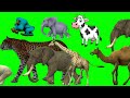 Cartoon Animal Stampede Crossover