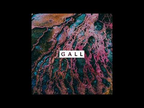 Gall - 17:21 MIN (Experimental Powerviolence/Noise 2020 - Germany)