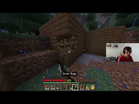 TheTrueTempest - Day 29 (Minecraft days) Minecraft survival world been a bit of time since last stream but here we ar