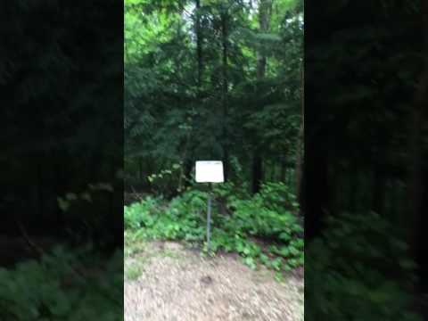 The trails near the campground 