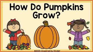 How Do Pumpkins Grow? (Pumpkin Life Cycle)