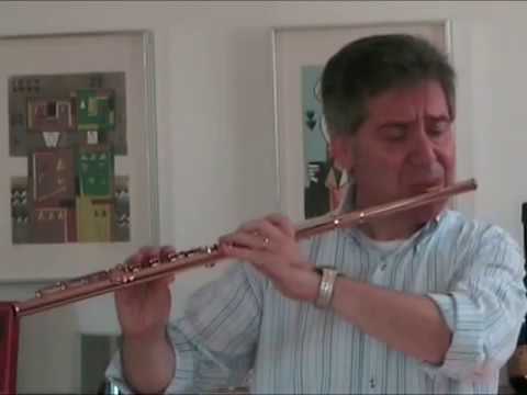 John Williams -  Schindler's List - Mauro Scappini