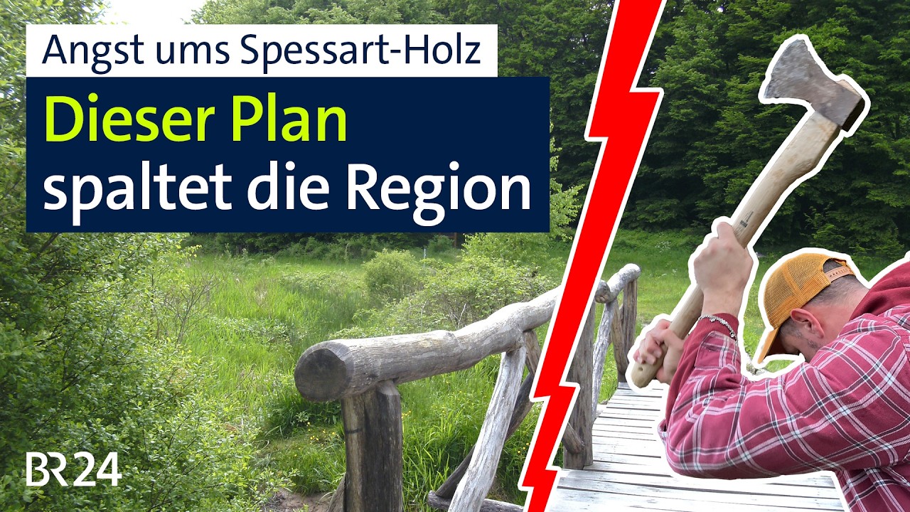 Biosphäre im Spessart? Angst ums "Holzrecht" | BR24 vor Ort - BR24