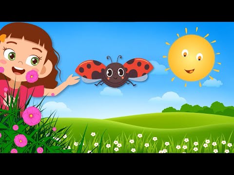 Colaj - Florile și animăluțele din jurul nostru