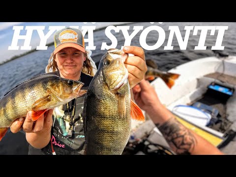 AVOVESIKAUDEN ENNÄTYSAHVEN, HYVÄÄ RUOKAKALAA JA HAAVIKEVENNYS