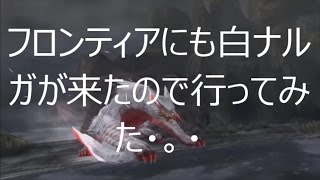 フロンティアに新しいナルガさんが来たので見に行ってみた・。・ｗ