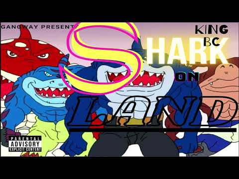 KING BC - Welcome To Hblock (Audio)