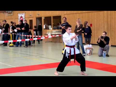 Sutemi Jutsu Ryu Karate - Europameisterschaften Haigerloch am 29.10.2011 - Einzel-Kata Teil 2