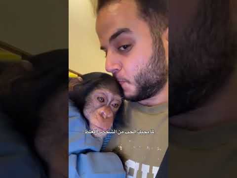 لما يجيك الحب من الشخص الغلط #shorts