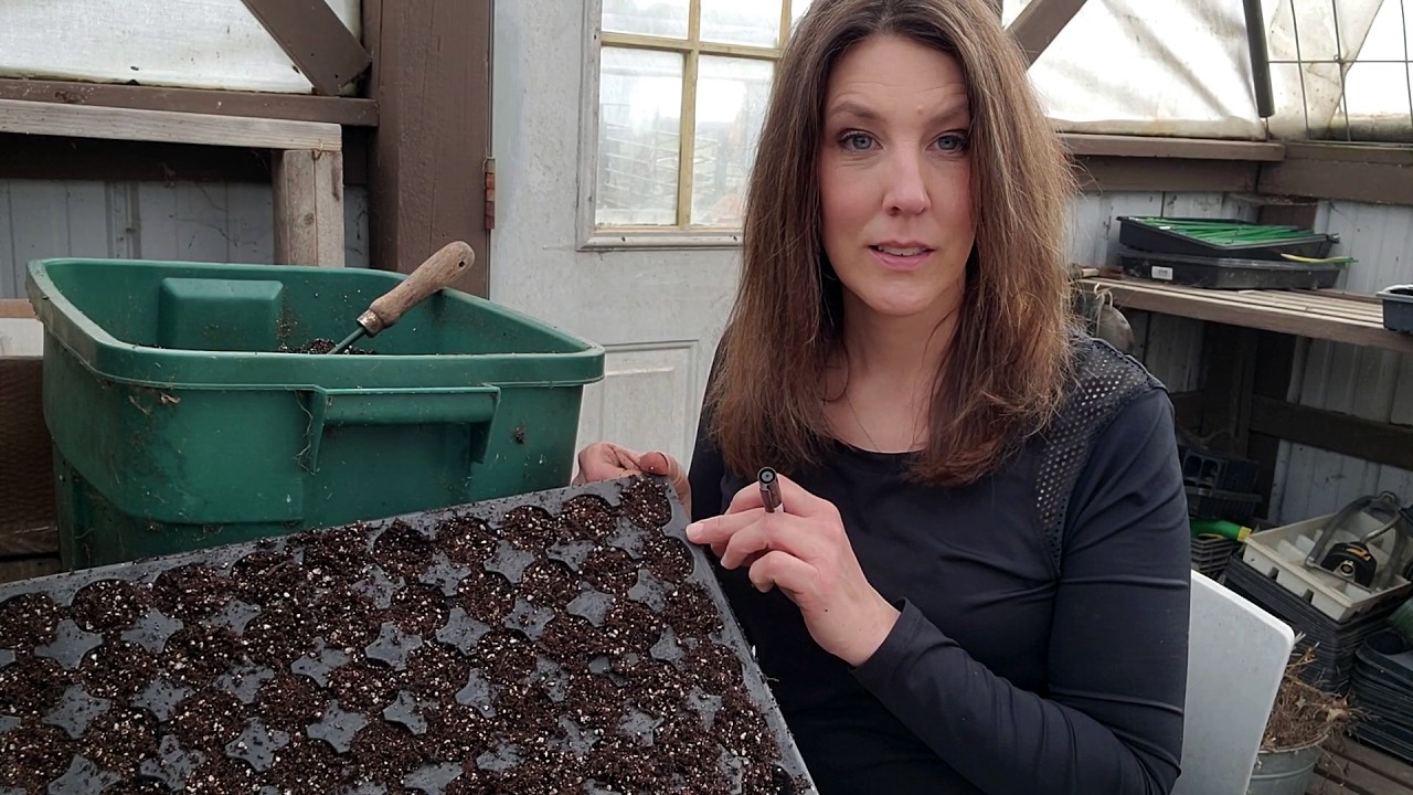 Seed Starting {Everything You Need To Start Growing}