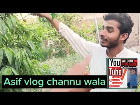 vist to sagheer naursry wow kmal