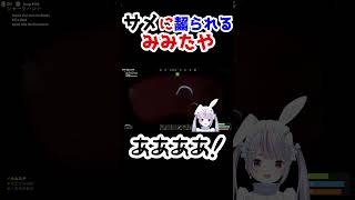 サメに齧られ悲鳴をあげる兎咲ミミ【兎咲ミミ/ぶいすぽ 切り抜き/RUST】#shorts