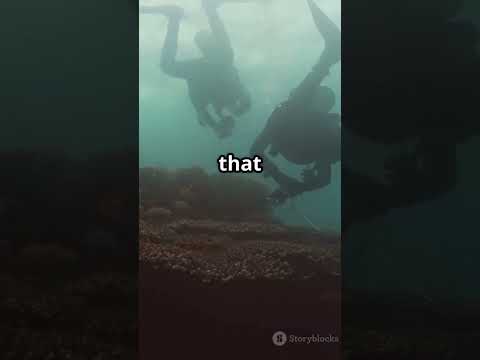 The Mysterious Life of the Coffinfish! #Coffinfish #MarineLife #OceanMysteries #DeepSea #Nature