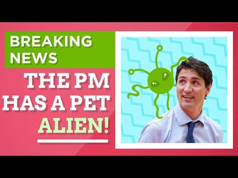 What is fake news - explained l CBC Kids News