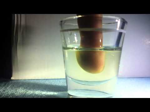 download lagu mp3 mp4 Is Crisco Vegetable Oil, download lagu Is Crisco Vegetable Oil gratis, unduh video klip Is Crisco Vegetable Oil