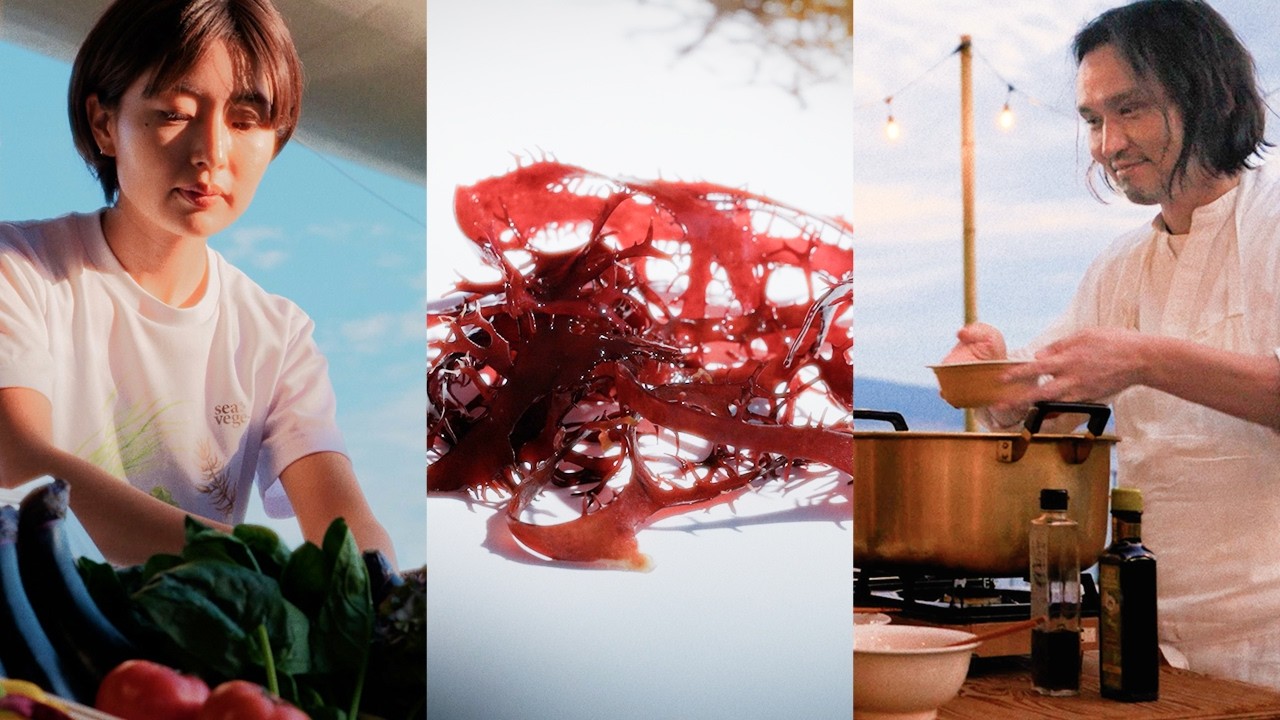 The Vegetable Garden Under the Sea - Japan's Seaweed Revolution