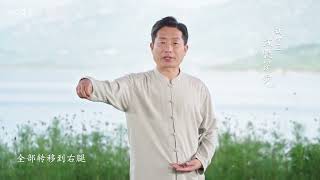 Tai Chi for Beginners: Single Whip - Chen Style