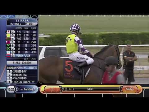 Risk Management 2100 - Rondinella