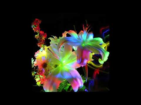 ⛧FREE⛧ CODE80 x KUDOKUSHI x Lucki x Black Kray Type Beat - "Love"