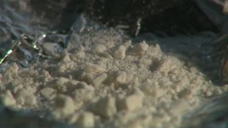 Crews go tree-by-tree to clean up after trash tornado