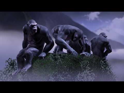 SKULISLAND short film