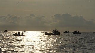preview picture of video 'San Lorenzo al mare gara di pesca al bolentino circolo nautico i delfini'