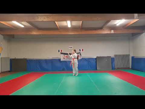 Sheyene VOGIN - K3 / Cadet Female 5th JC Online International Open Poomsae / France