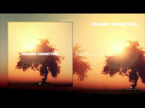 Melodic Connection 067 - Vince Forwards