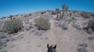 Jex's 10th time and a good one