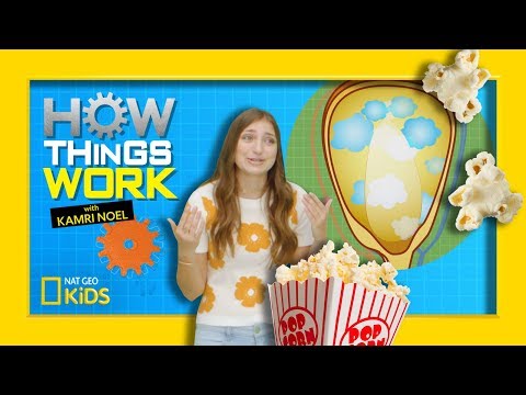 How Popcorn Works | How Things Work with Kamri Noel