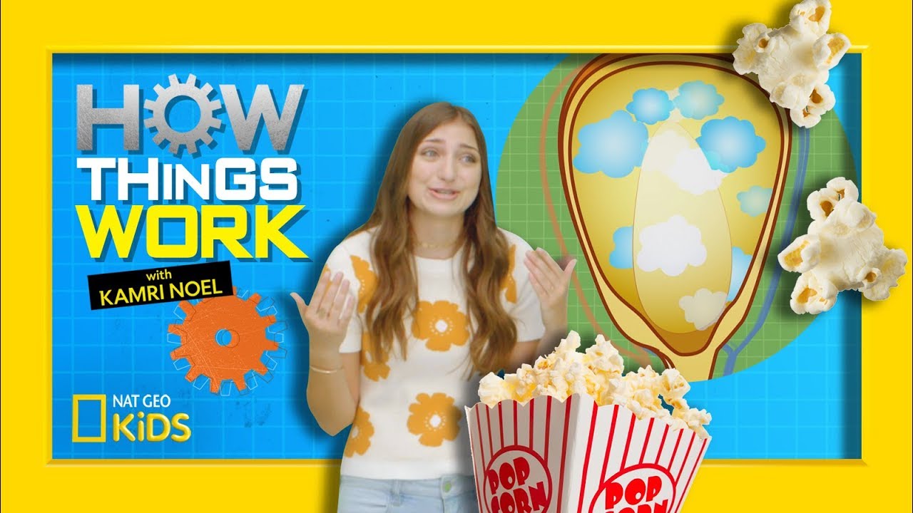 How Popcorn Works | How Things Work with Kamri Noel
