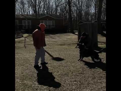 Emilio Jagermeister protection Training