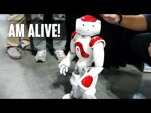 It's Alive With Aldebaran Robotics Companion 4K