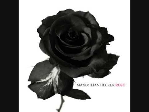 Maximilian Hecker - Rose