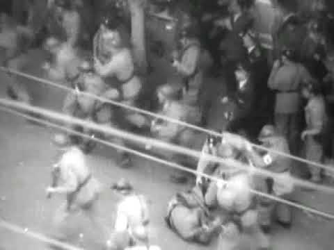 Émeute du Front de l'Algérie française, 11 novembre 1960 (couverture médiatique américaine)