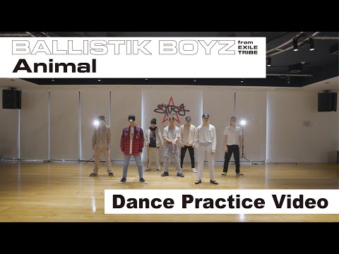 【Dance Practice Video】「Animal」 / BALLISTIK BOYZ from EXILE TRIBE
