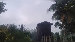 Download lagu Ribuan BW menyerbu SP NEW PJW di pagi hari. pemakaian 1 bulan mp3