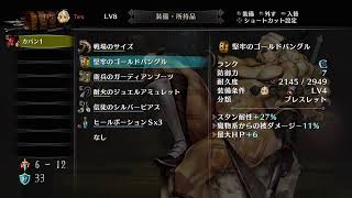 史上最も美しい2Dアクション －ドラゴンズクラウン－